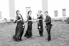 Ensemble Clarezza